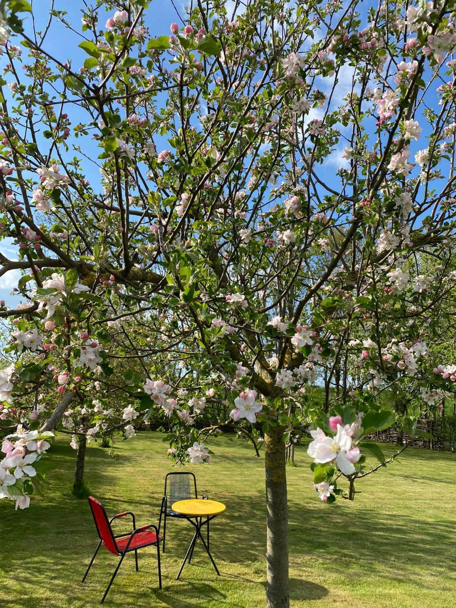 B&B 'T Hof Van Kessel Maren-Kessel Exteriér fotografie